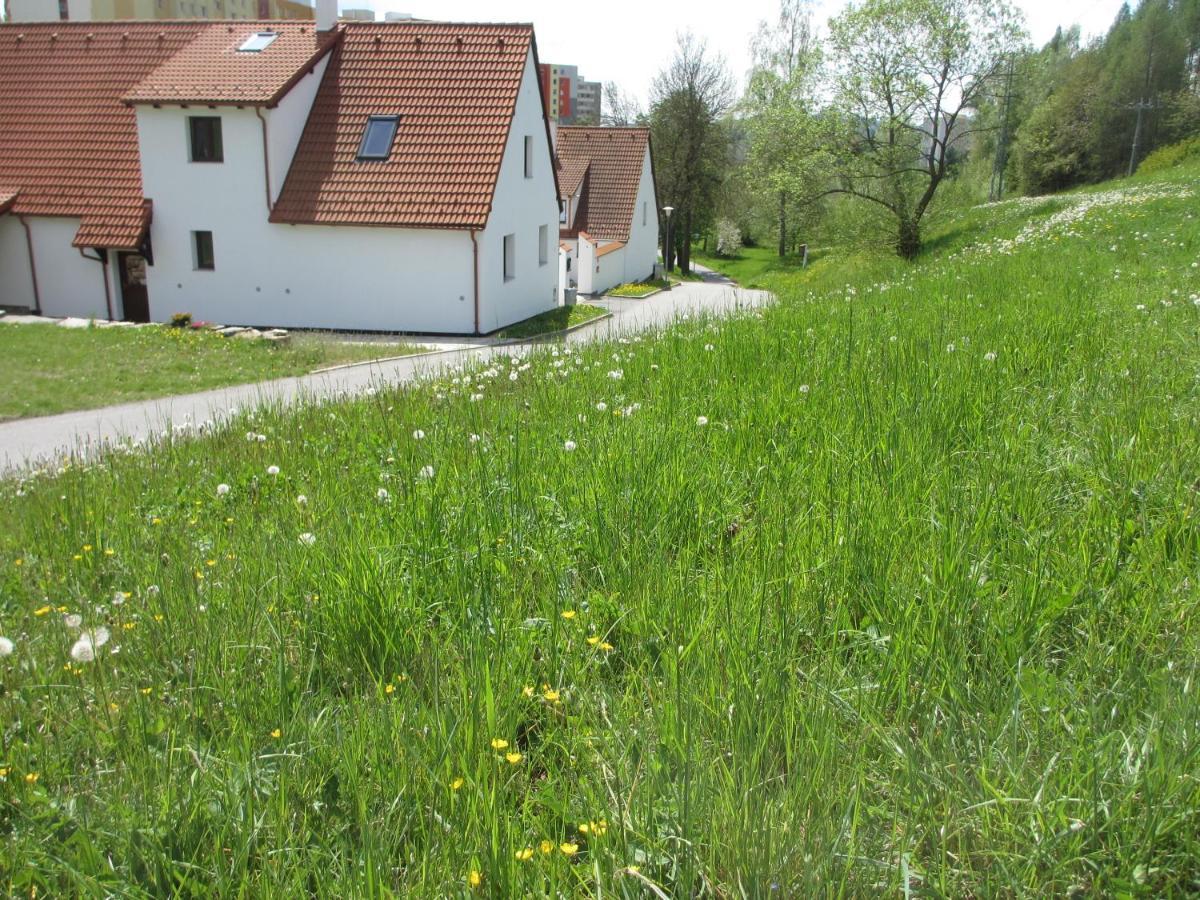 Apartmany U Prochazku Cesky Krumlov Ngoại thất bức ảnh